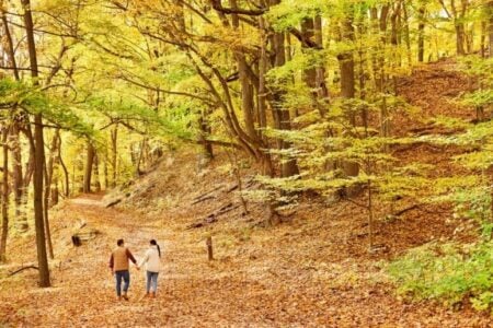 Top 10 Fall Things To Do In Saugatuck Douglas