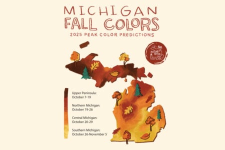 Fall Color Map