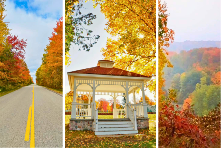 Petoskey Area