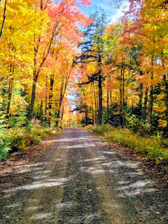 Watersmeet In The Fall