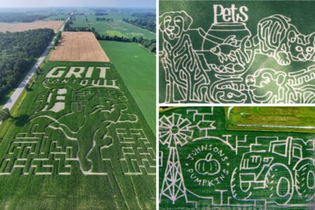 Corn Mazes