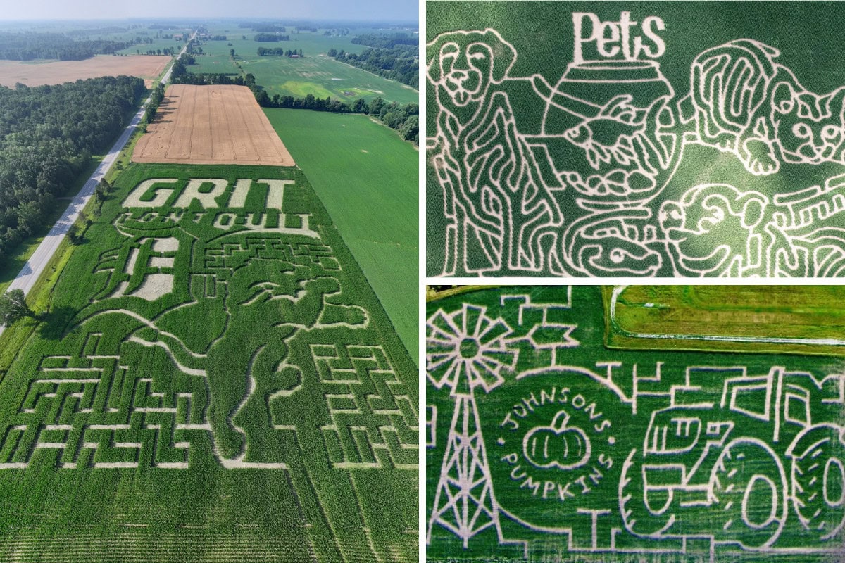 Corn Mazes