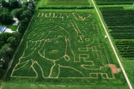 Corn Mazes