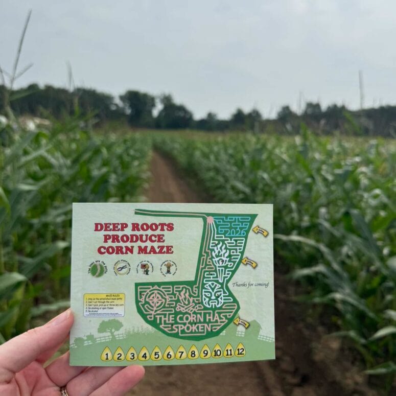 2026 Corn Maze At Deep Roots Produce