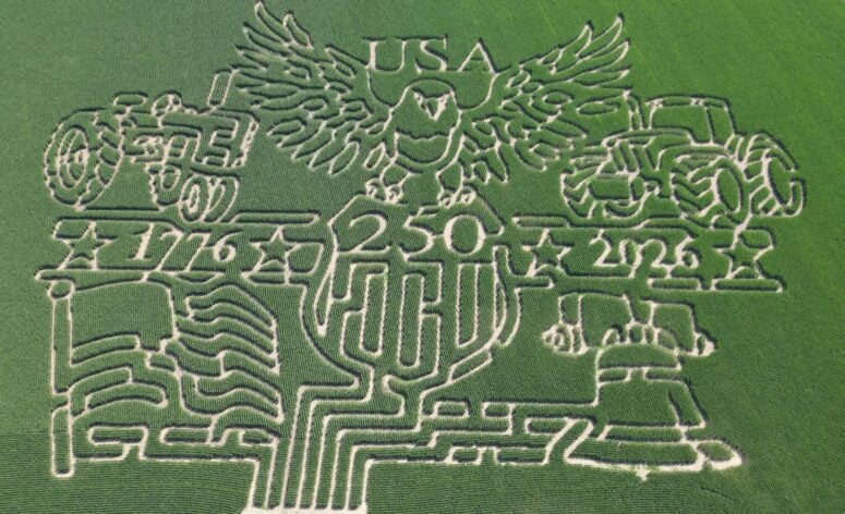 Farmer J's Corn Maze