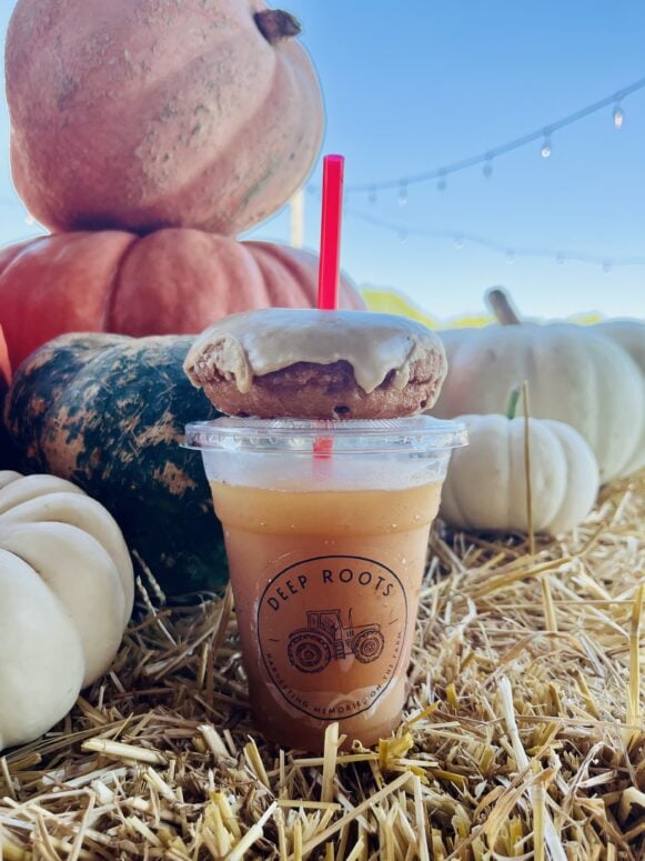 Cider Slushie And Donut At Deep Roots Produce In Alto