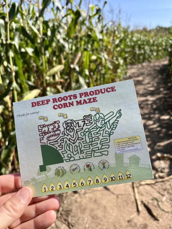 Deep Roots Produce In Alto