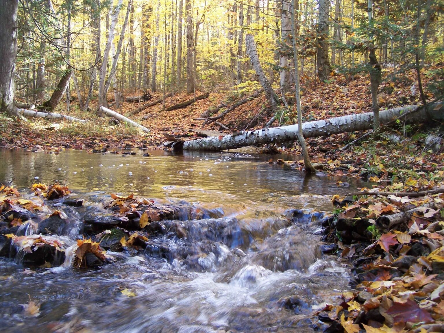 From an Underground River to a Sacred Rock: 4 Northern Michigan Hidden Gems