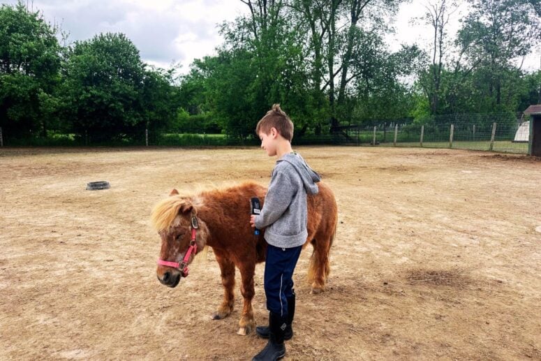 Carousel Acres