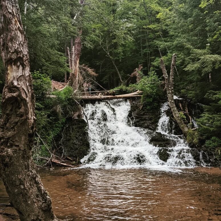 Morgan Falls-Marquette