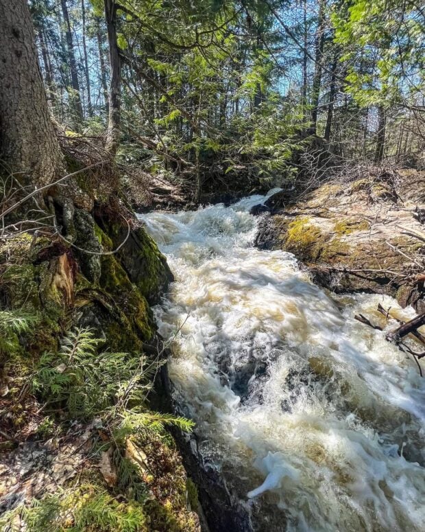Reany Falls-Marquette
