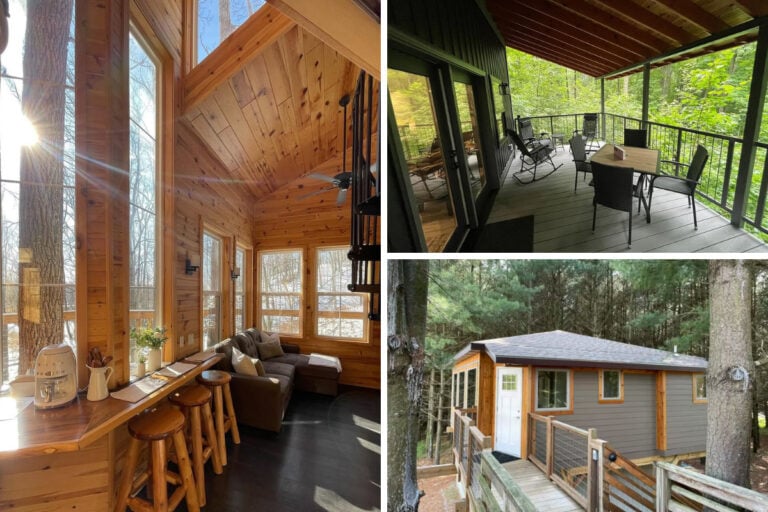 Treehouse Rentals