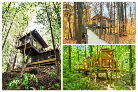Michigan Treehouse Rentals