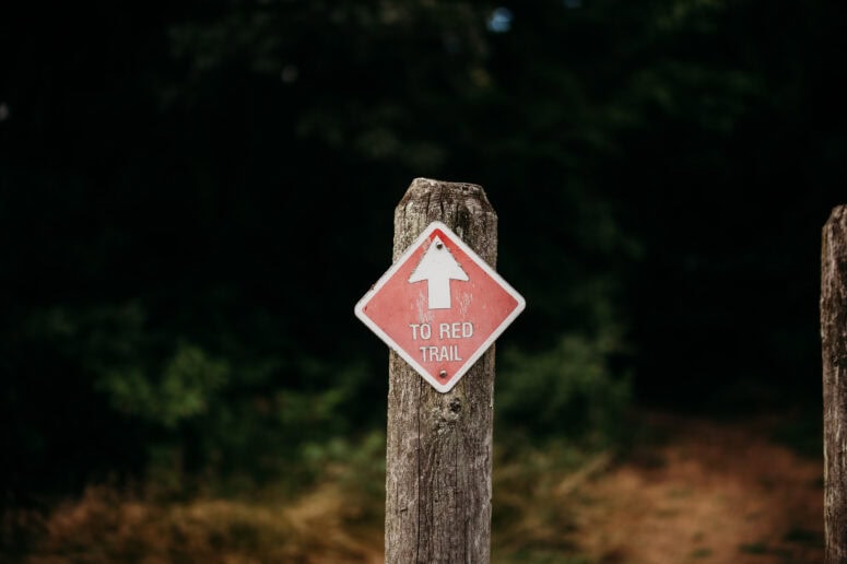 Macready Nature Reserve, Jackson