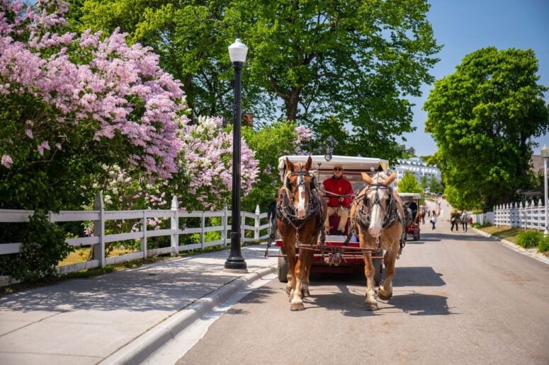 Mackinac Island-Lilacs-Horses