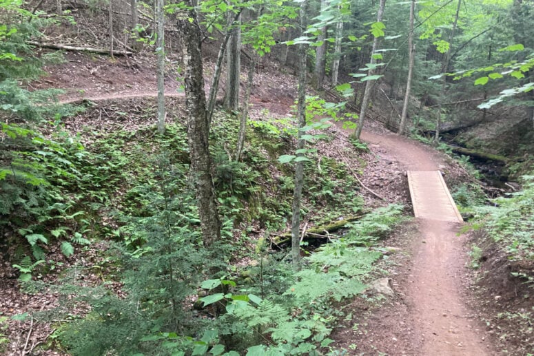 Green Landscape With A Bridge Traversing A Bike Trail.