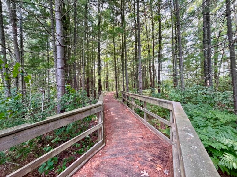 Heritage Nature Trail, Cadillac