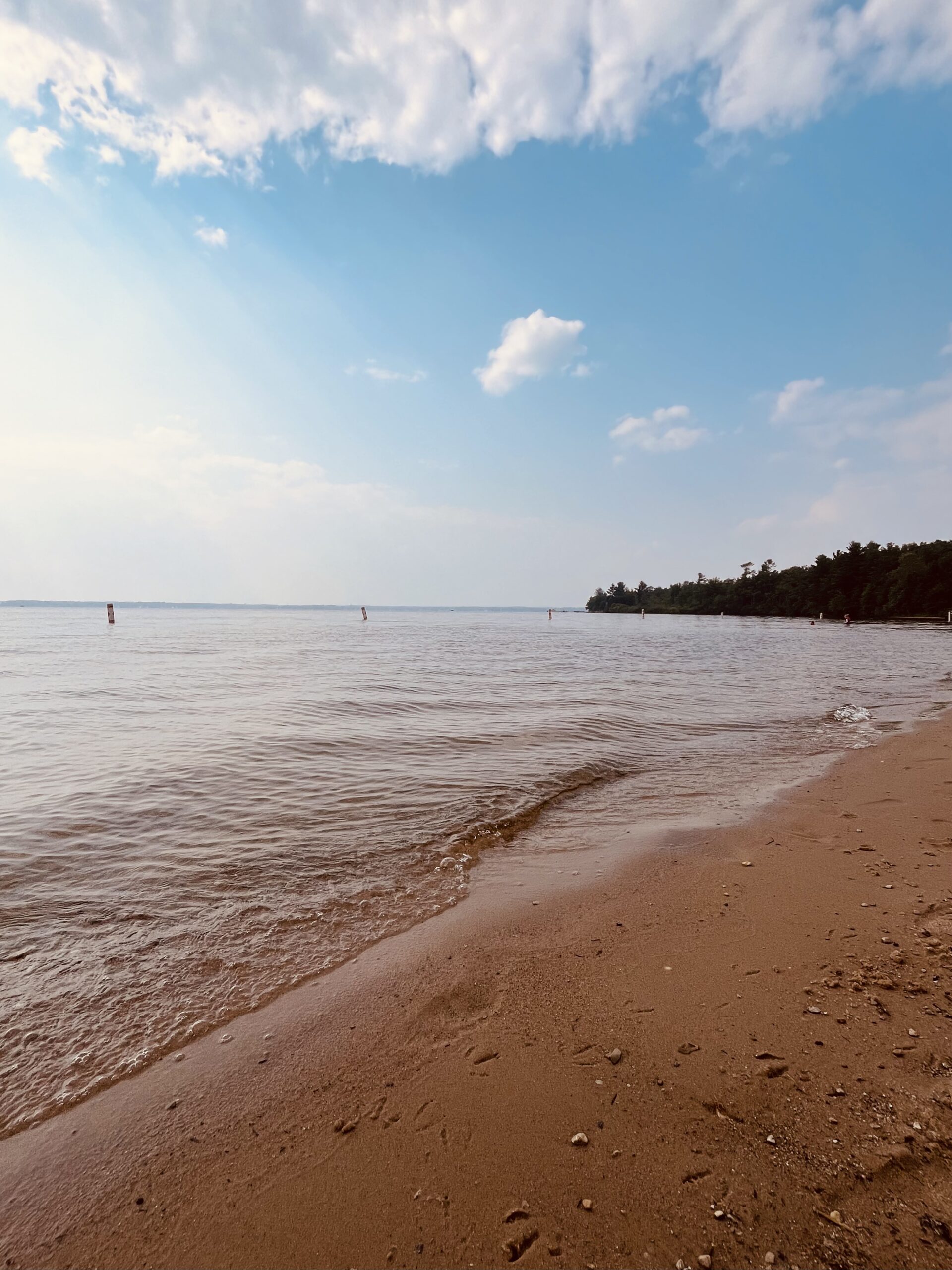 Mitchell State Park, Cadillac