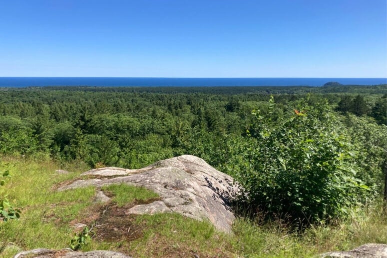 Top Of The World