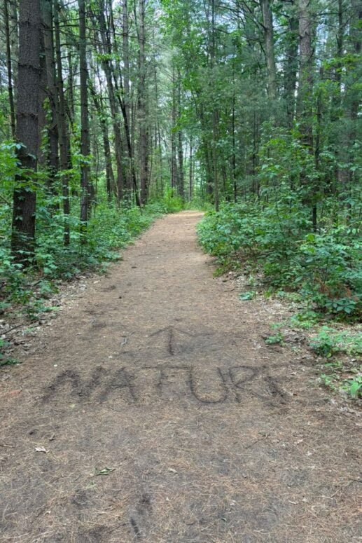 &Quot;Nature&Quot; And An Arrow Written In The Dirt At Proud Lake State Recreation Area