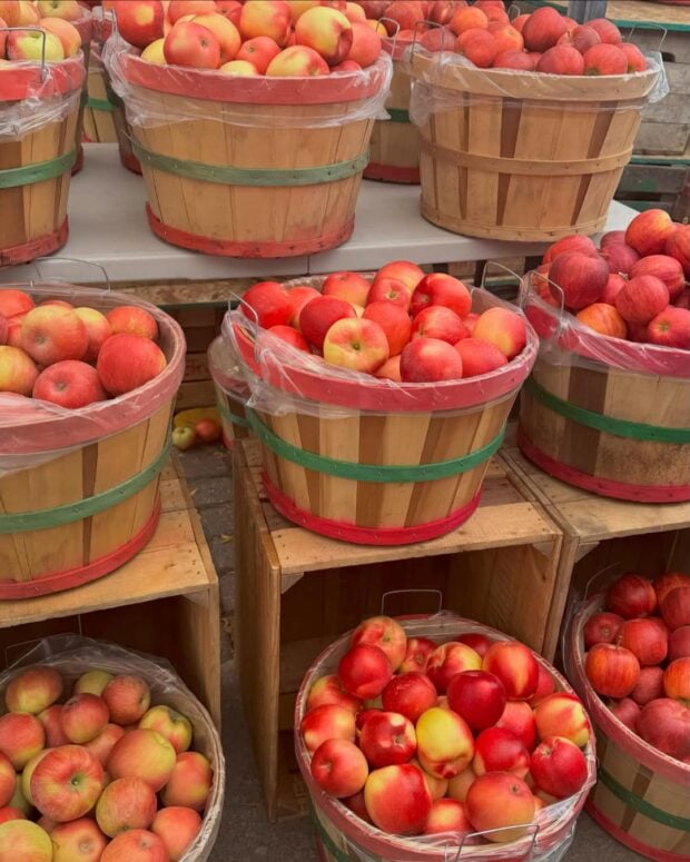 Apple Festival-Charlevoix-2