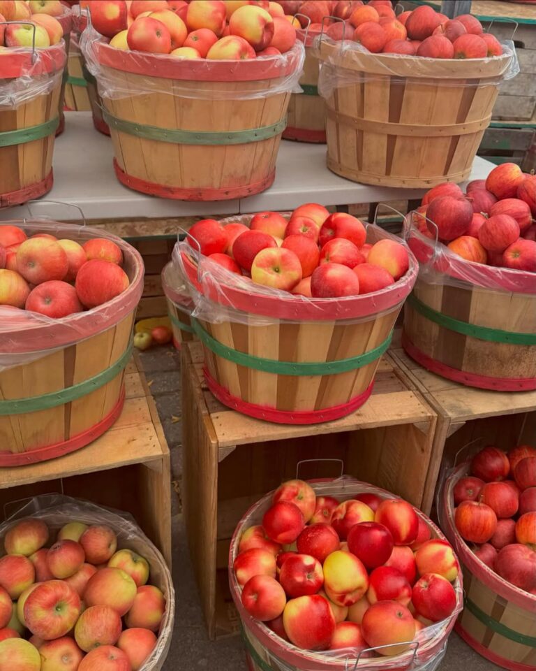 12 Best Fall Apple Festivals in Michigan in 2026