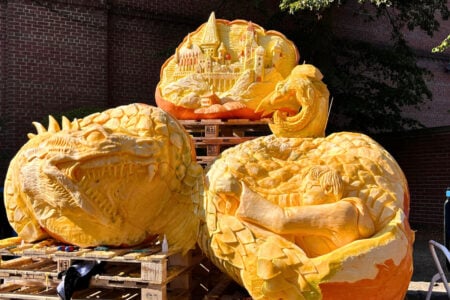 Fall Fest In Holland