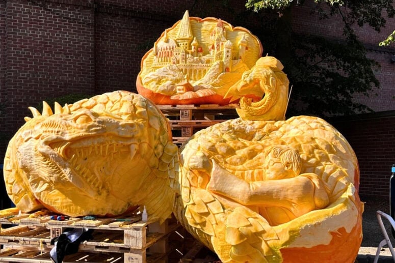 Fall Fest In Holland