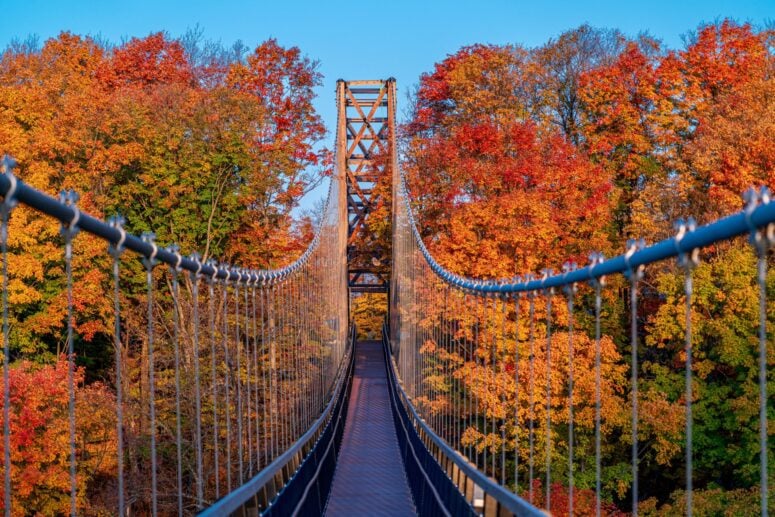 Skybridge 
