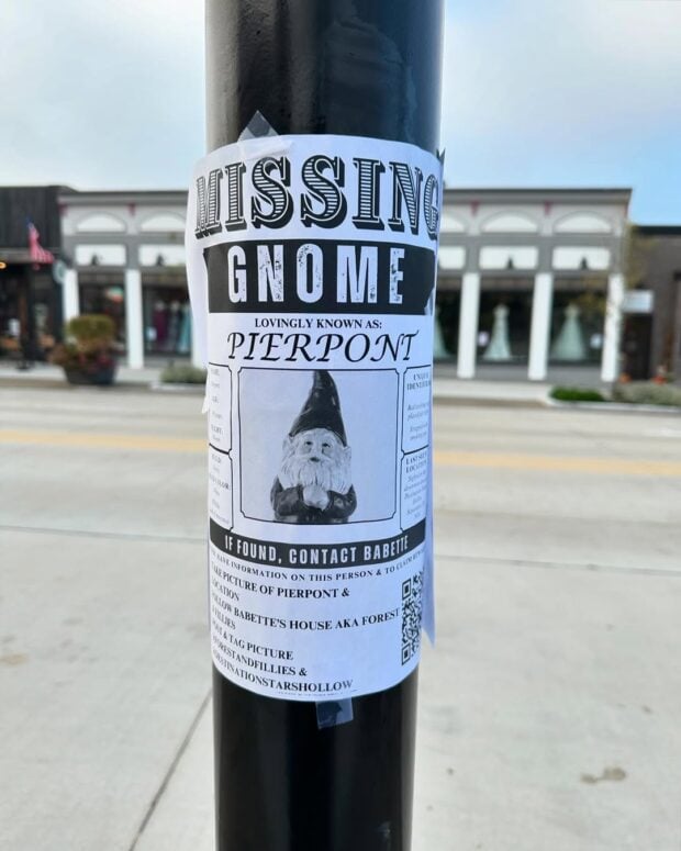 Destination Stars Hollow-Brighton