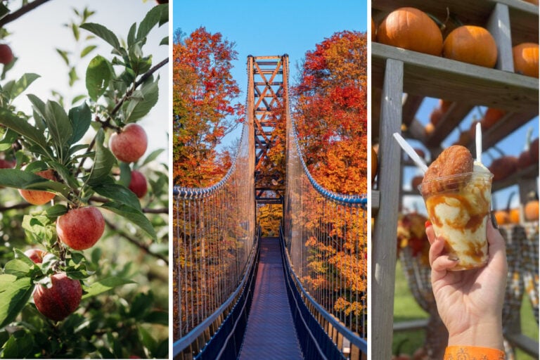 Michigan Fall Bucket List