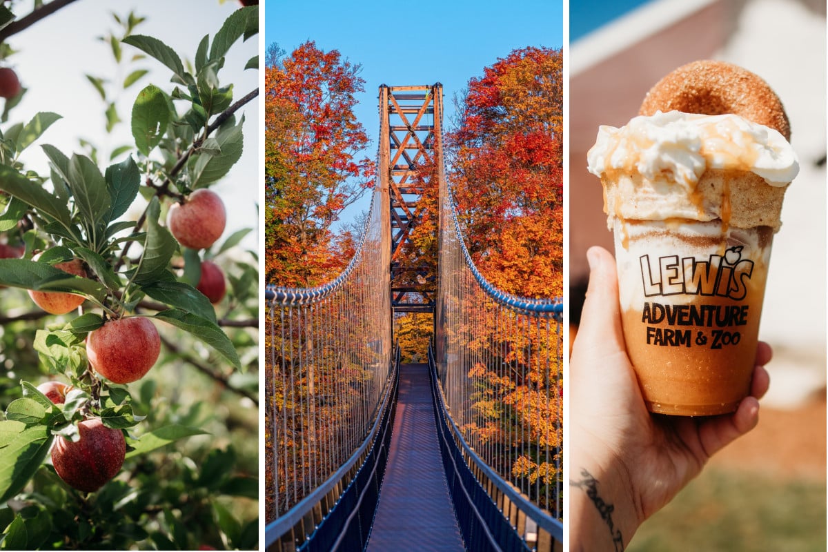 Fall Bucket List