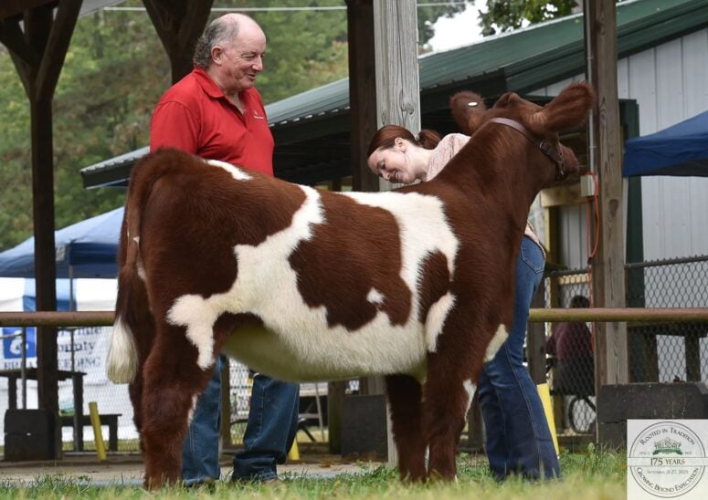 Hillsdale County Fair