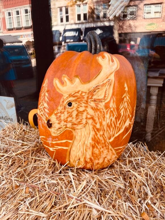 Fall Fest In Holland