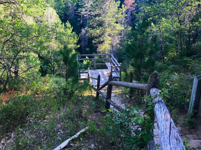 Sinkhole Pathway Overlook