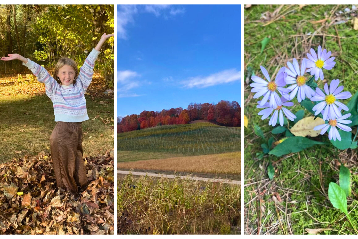 Autumn Blessings