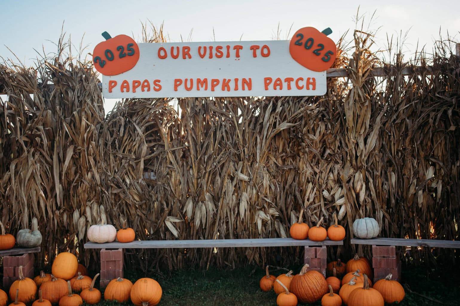 Papa'S Pumpkin Patch
