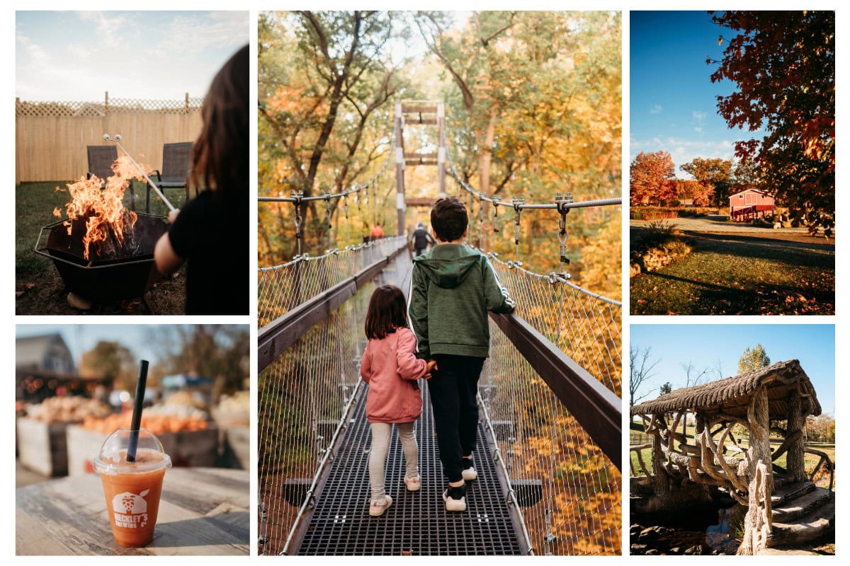 Northfarthing Farm And Getaways