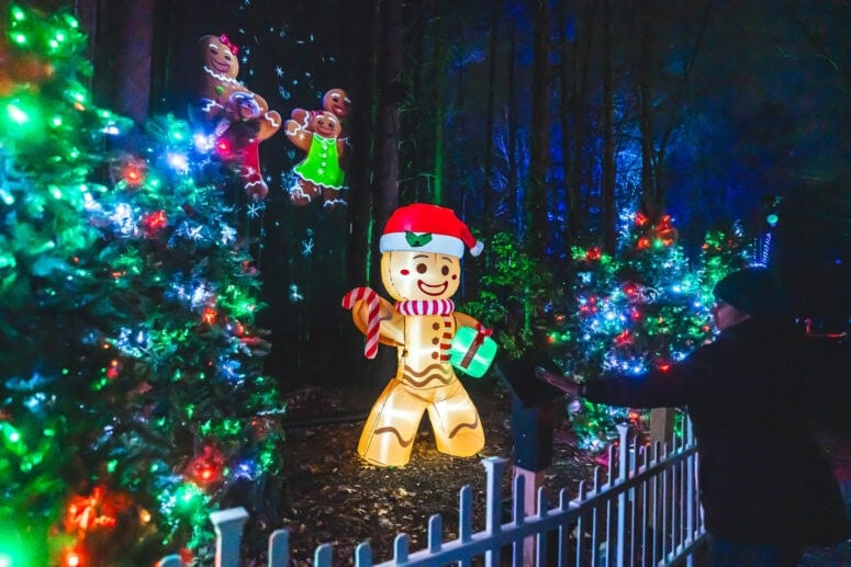 Glenlore Trails: Aurora