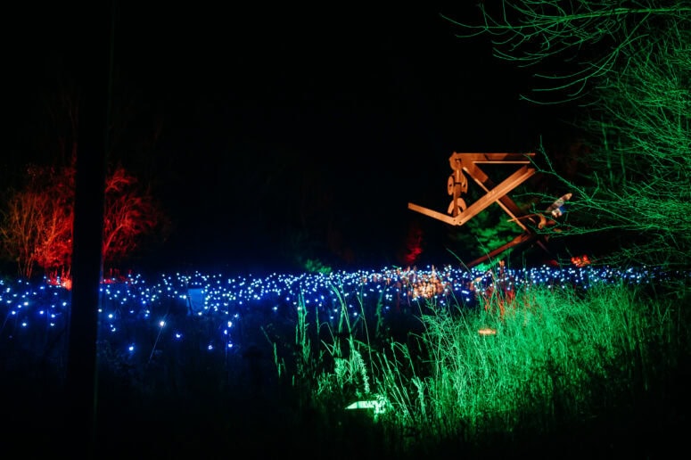 Enlighten Awesome Mitten 1