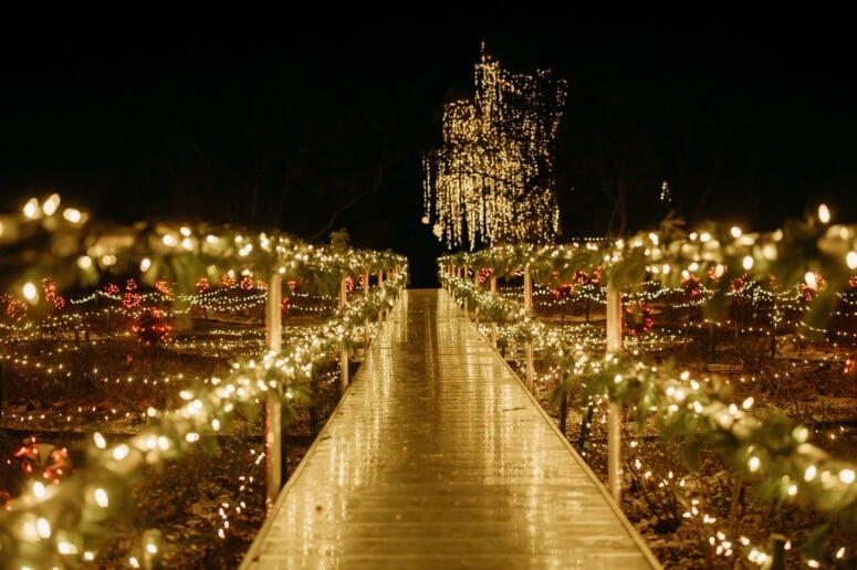 Home For The Holidays At Ford House