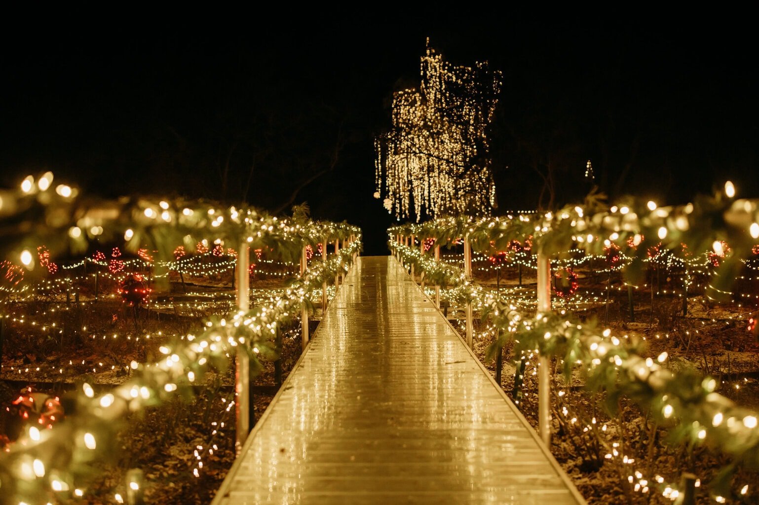 Home For The Holidays At Ford House