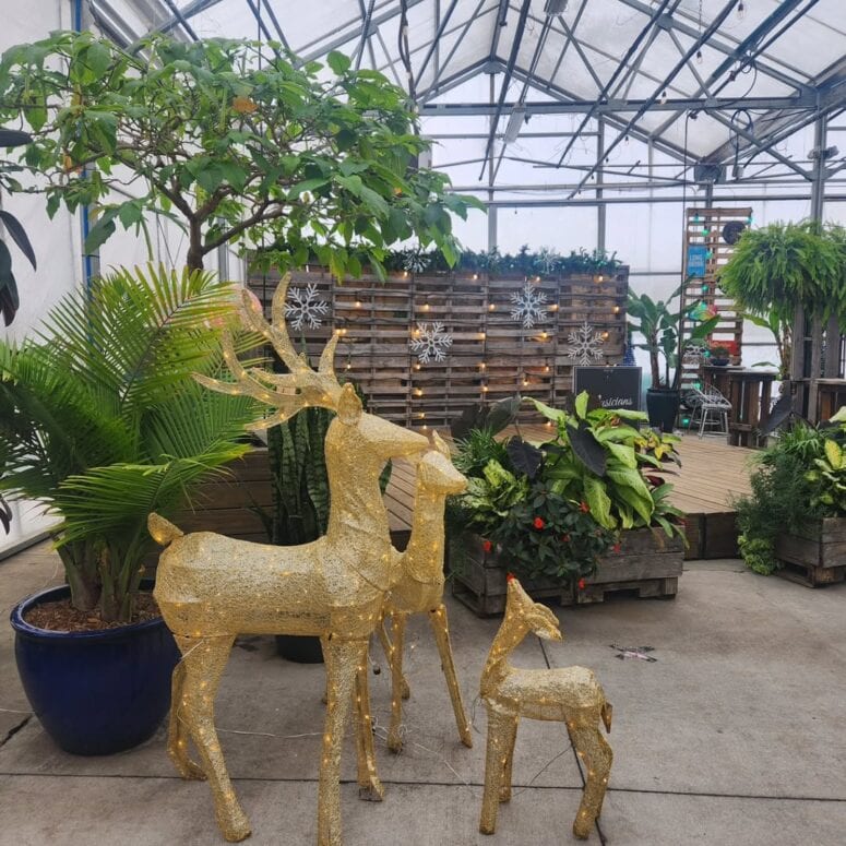 Horrocks Farm Market