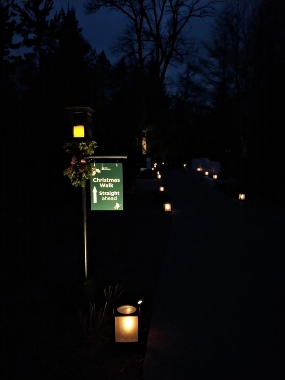 Dow Gardens Christmas Walk