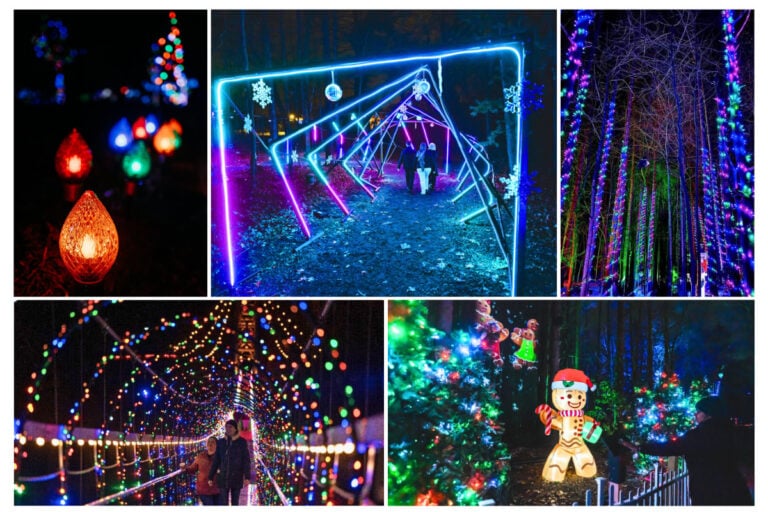 Illuminated Winter Trails