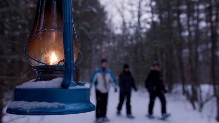 Mitchell State Park Lantern Hike