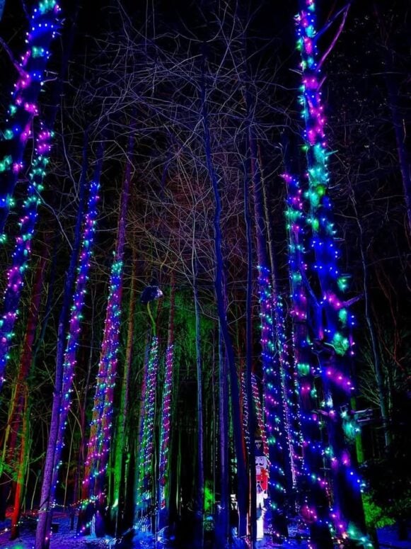 Glenlore Trails: Aurora