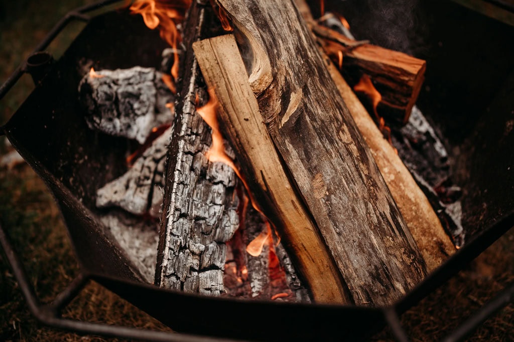 Northfarthing Farms Cottage Hillsdale Michigan Fire Detail