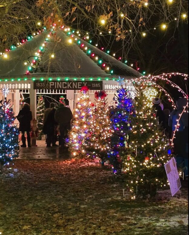 Light Up The Park In Pinckney