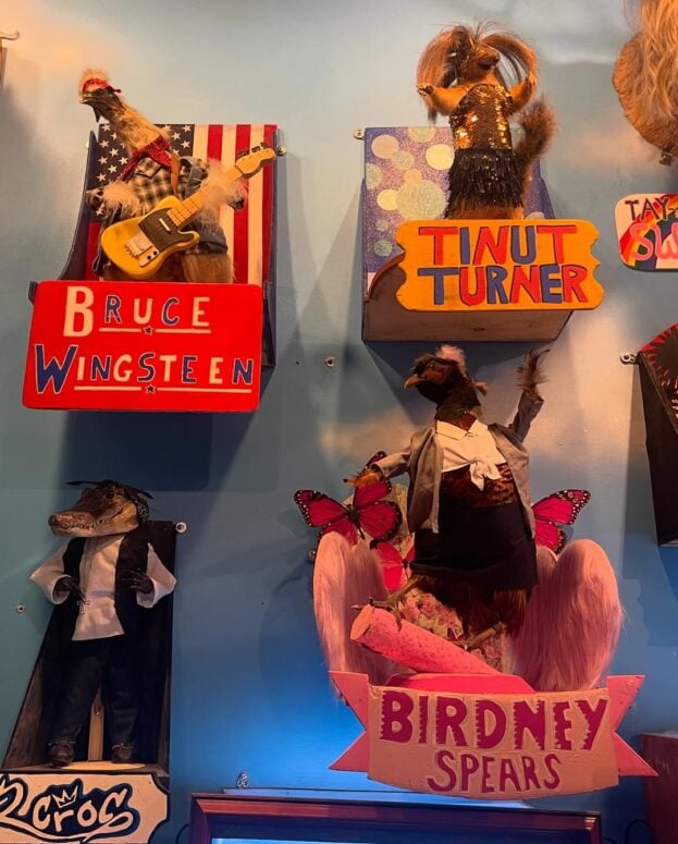 The Wacky Taxidermy &Amp; Miniatures Museum